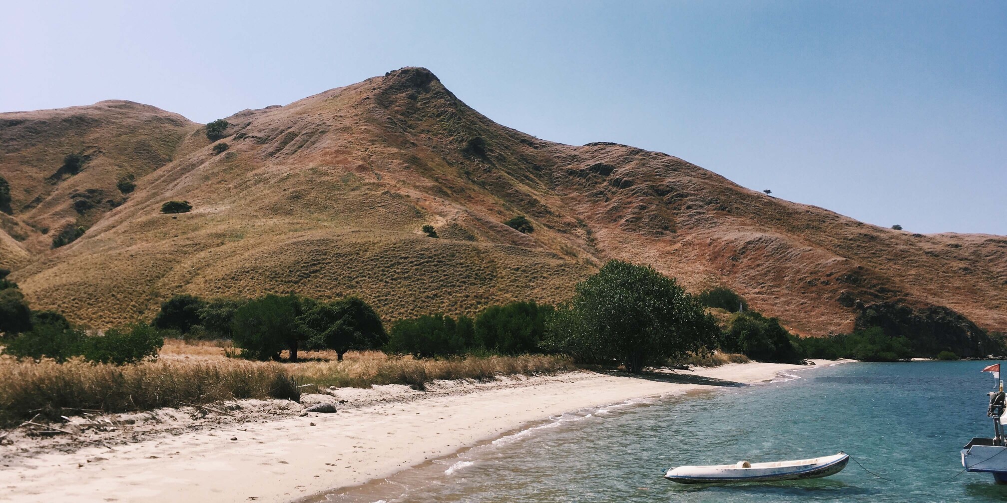 galeri-pulau_komodo